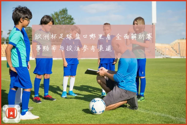 欧洲杯足球盘口哪里看 全面解析赛事赔率与投注参考渠道