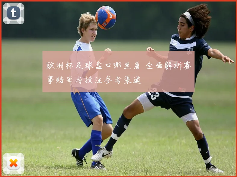 欧洲杯足球盘口哪里看 全面解析赛事赔率与投注参考渠道