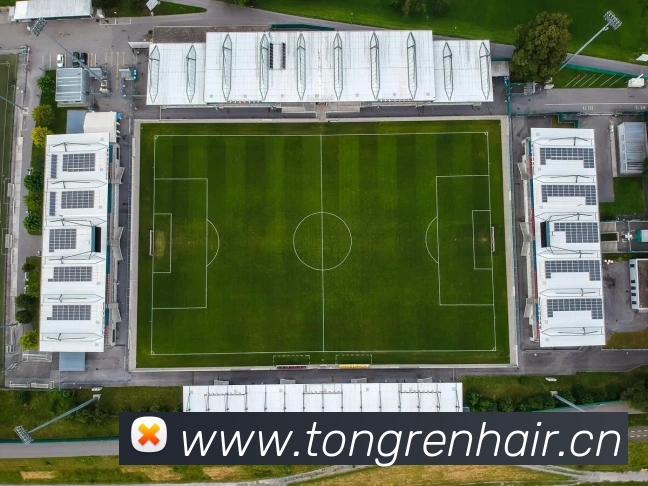 leyu乐鱼APP 高清赛事图